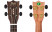 flight-duc450-man-concert-headstock.jpg