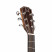 JamesNeligan-Dov-A-headstock.jpg