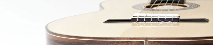 Guitares de maître
