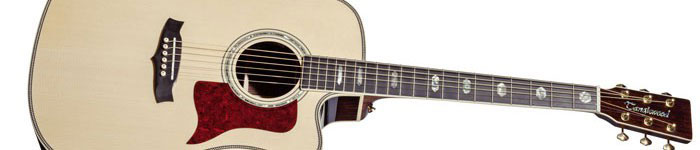 Guitares acoustiques